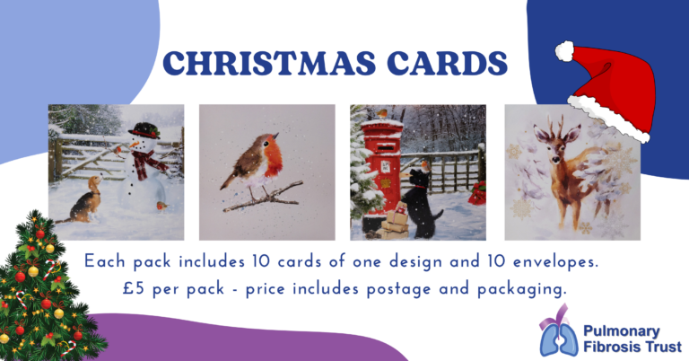 Christmas Cards Flyer