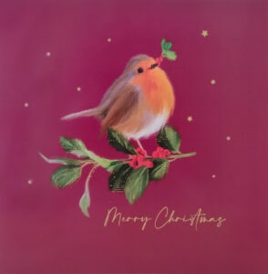 Friendly Robin
